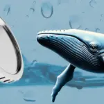 クジラがBTCを40倍レバレッジでロング、含み益は約427万ドルに