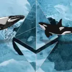 データ：イーサリアム初期の超クジラ、約10年ぶりに9,500 ETH超を初売却