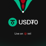 Tetherのクロスチェーン版USDT「USDT0」、Sei Networkにネイティブ展開
